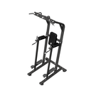 Origin Chin Dip Machine