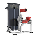 Impulse IT95 Back Extension