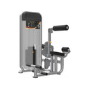 Impulse Dual Abdominal Lower Back Machine