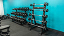Fixed Barbell Storage