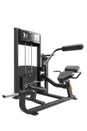 Impulse IF93 Dual Abdominal and Back Extension