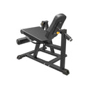 Impulse IFP Seated Leg Extension