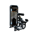 Impulse Dual Abdominal Lower Back Machine