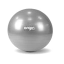 Origin Anti Burst Gym Ball