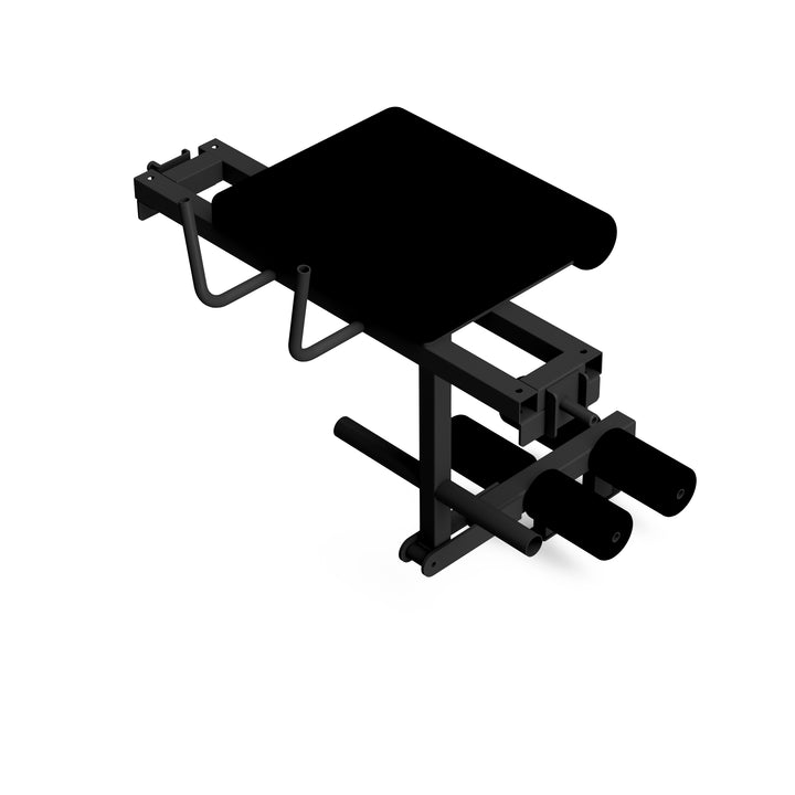 Gym Division Reverse Hyperextension Bench – Origin Fitness