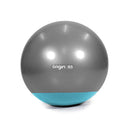 Origin Weighted Gym Balls