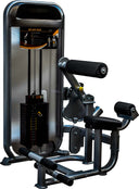 Impulse Dual Abdominal Lower Back Machine