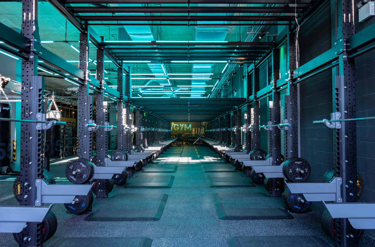 Gym Rigs For Professional & Home Gyms | Origin Fitness
