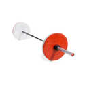Barbell with red and white weight plates on a white background