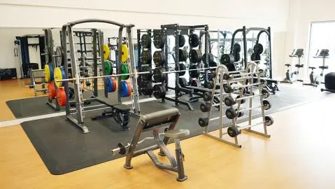 Academy weight lifting online equipment