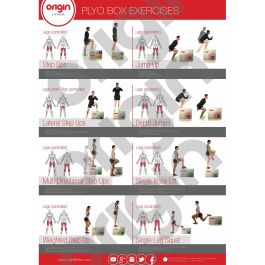 Back Exercise | Full Workout Improves Strength Training | Laminated Gym and  Home Poster | Includes Online Video Training Support | Size - 841mm x