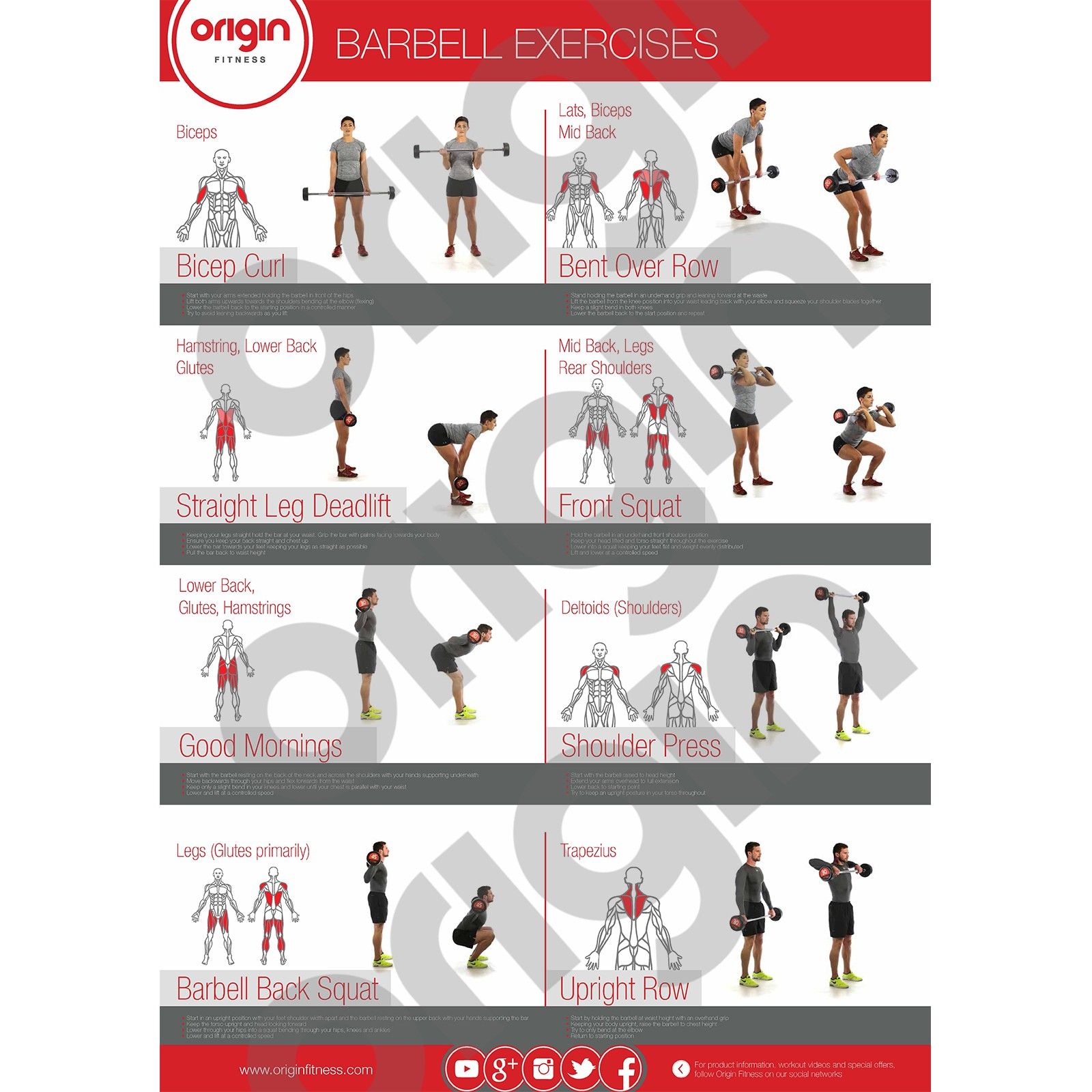 Origin Barbell Exercise Poster