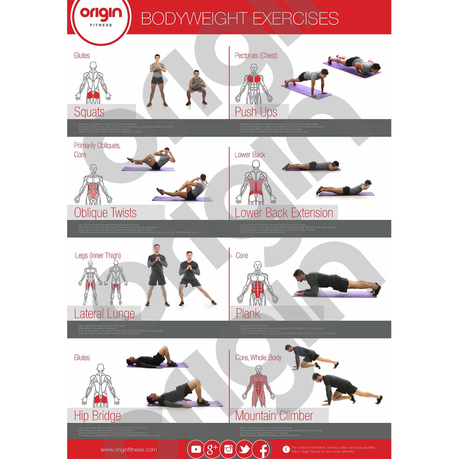Chest Exercise | Full Chest Workout | Improves Strength Training |  Laminated Gym and Home Poster with Online Video Training Support | Size -  841mm x