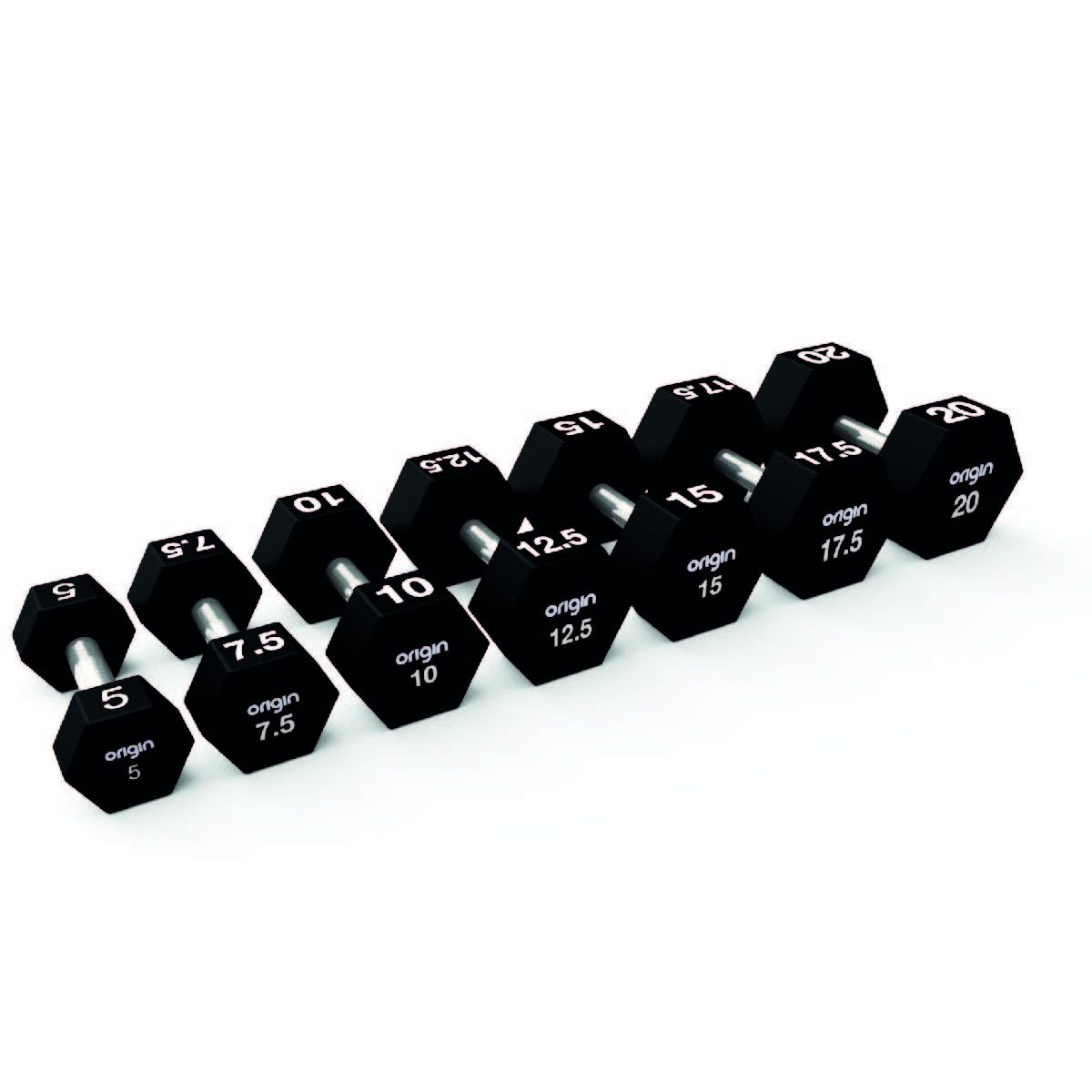 Gym division outlet rubber hex dumbbells