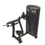 Impulse IF93 Dual Bicep/Tricep Machine 