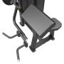 Impulse IF93 Dual Bicep/Tricep Machine 