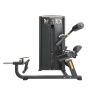 Impulse IF93 Dual Abdominal and Back Extension Machine
