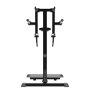 Impulse Standing Lateral Raise