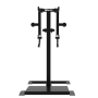 Impulse Standing Lateral Raise