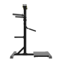 Impulse Standing Lateral Raise