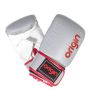 Origin Leather Boxing Mitts