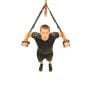 PT4Pro Suspension Trainer