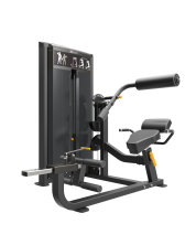 Impulse IF93 Dual Abdominal and Back Extension Machine