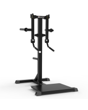 Impulse Standing Lateral Raise