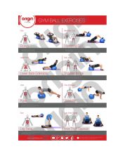 Origin Gym Ball Exercise Poster