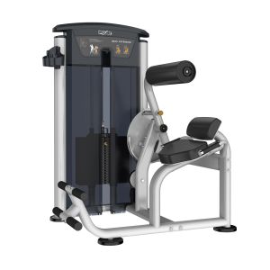Impulse IT95 Back Extension