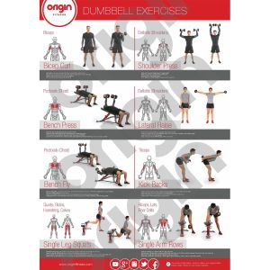 Origin Dumbbell Exercise Poster