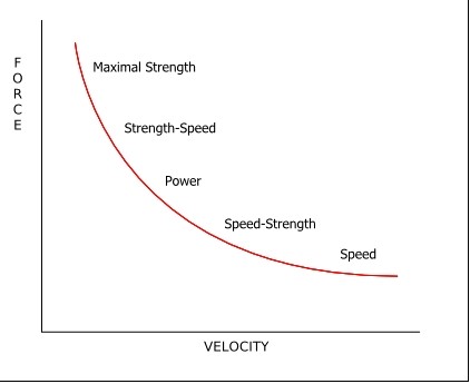 Weight Training for Speed and Power