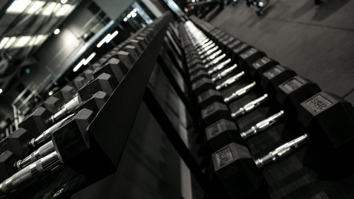 hex dumbbells 