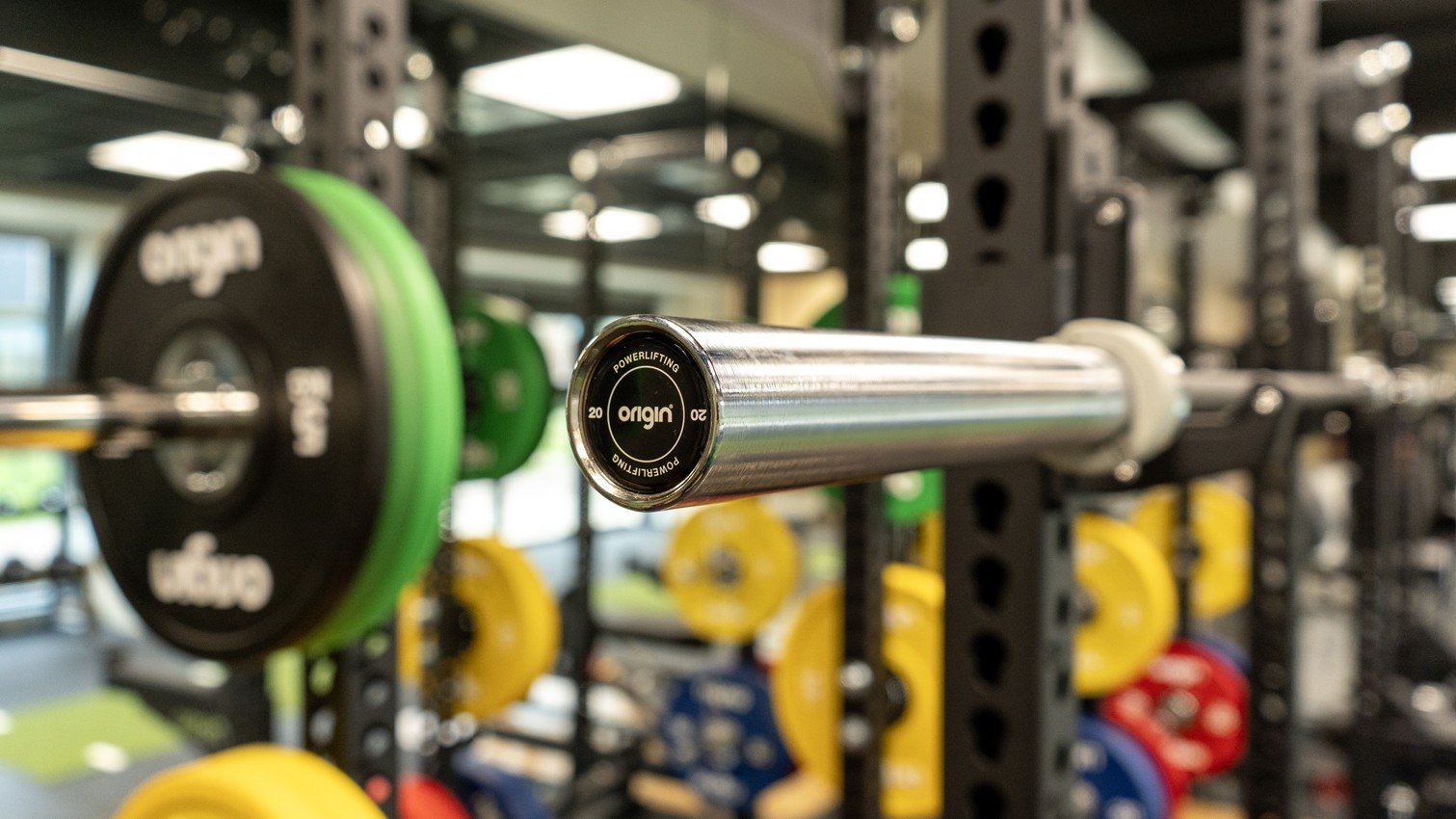 barbell buying guide