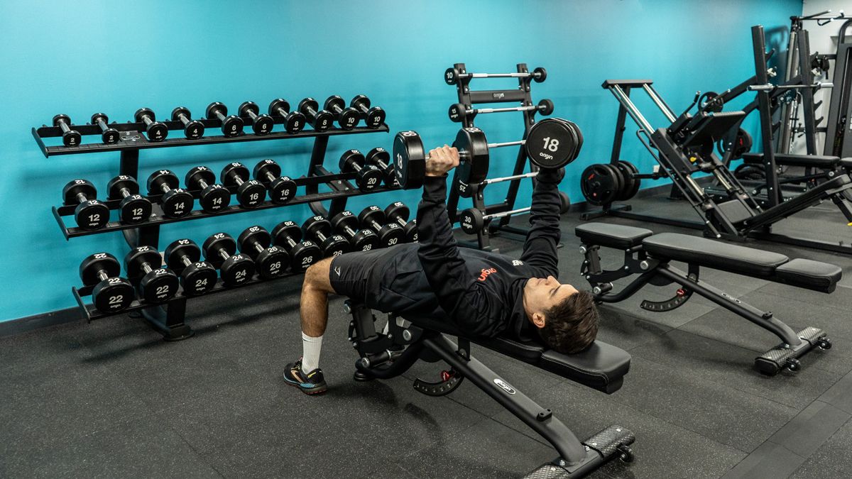 Fixed Resistance vs. Free Weights Origin Fitness
